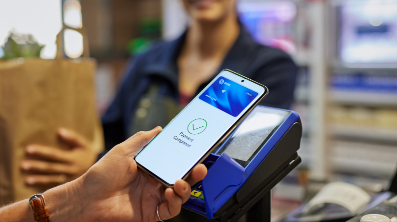 Payment Software Integration